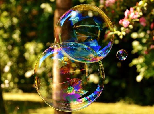 本当に腑に落とすには　 入門感想