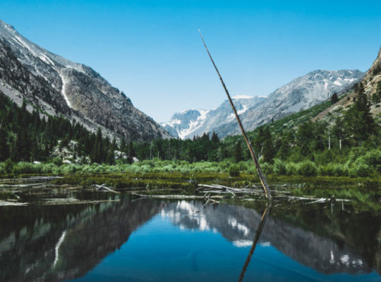 人生山あり谷あり、あなたが望んだこと？