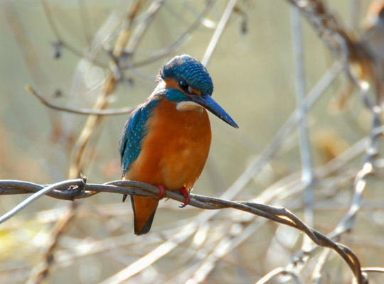 お金の講座、詳細は・・・