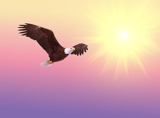 やる氣がなくても行動する　中級復習会感想