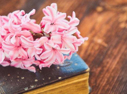 コア発掘講座が好評！