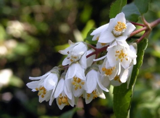 各種お知らせ　6/29