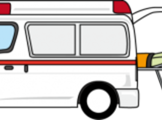 サンプルテキスト