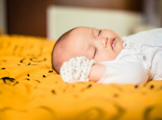 サンプルテキスト