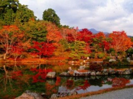 サンプルテキスト