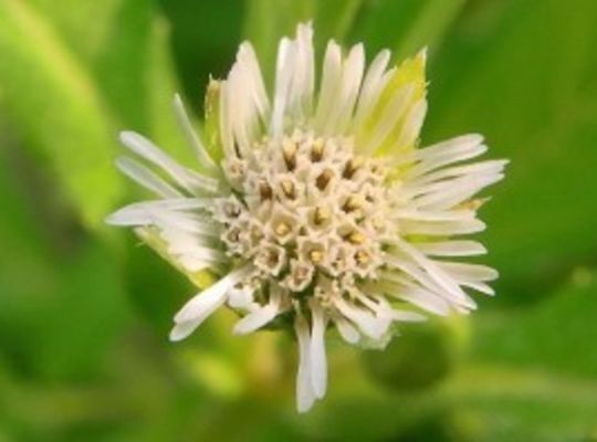 サンプルテキスト