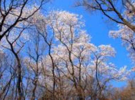 サンプルテキスト