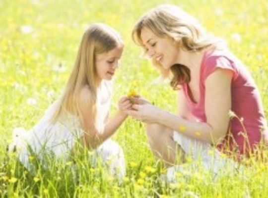 サンプルテキスト