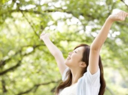 サンプルテキスト