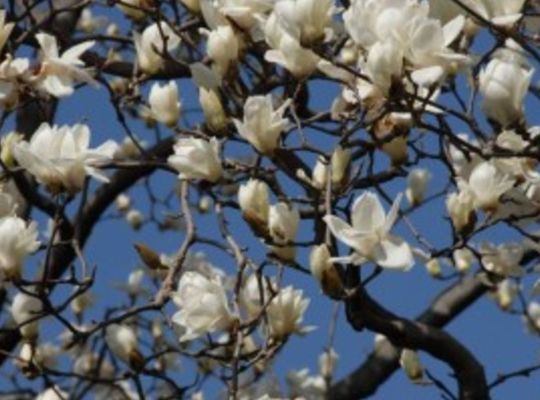 サンプルテキスト