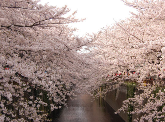 サンプルテキスト