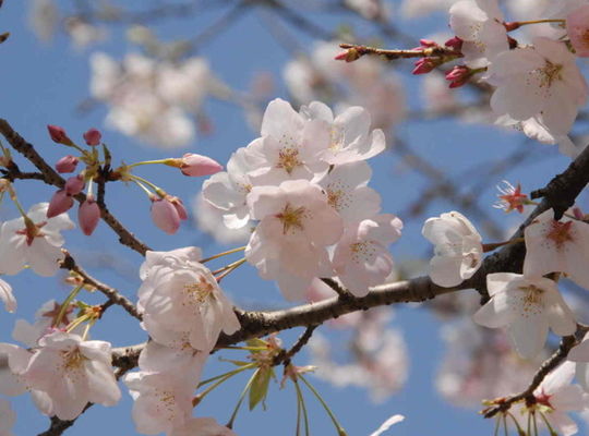 サンプルテキスト