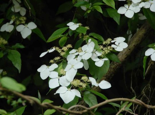 サンプルテキスト