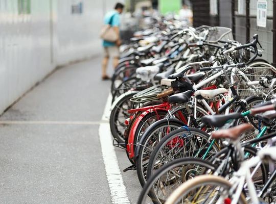 サンプルテキスト