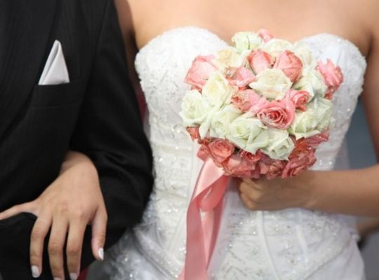 サンプルテキスト