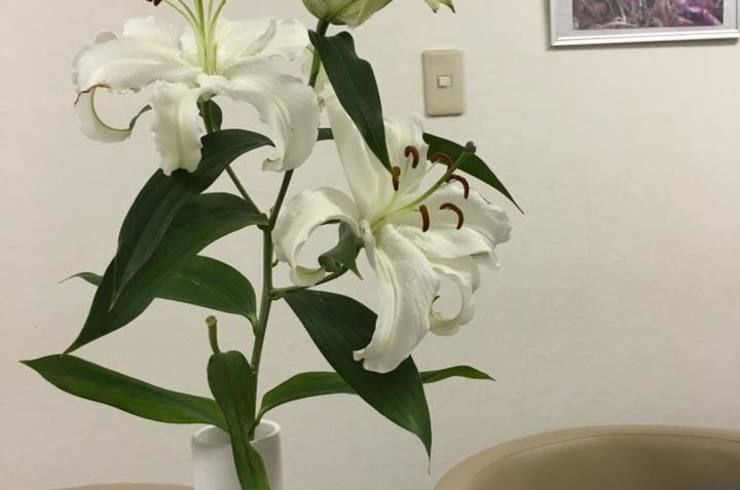 サンプルテキスト