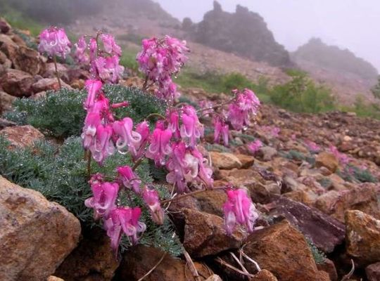 サンプルテキスト