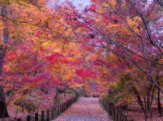 サンプルテキスト