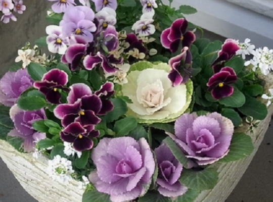 サンプルテキスト