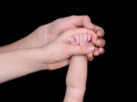 サンプルテキスト