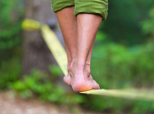 サンプルテキスト