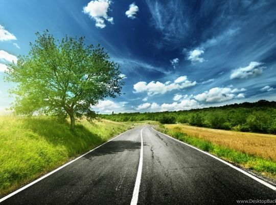 サンプルテキスト