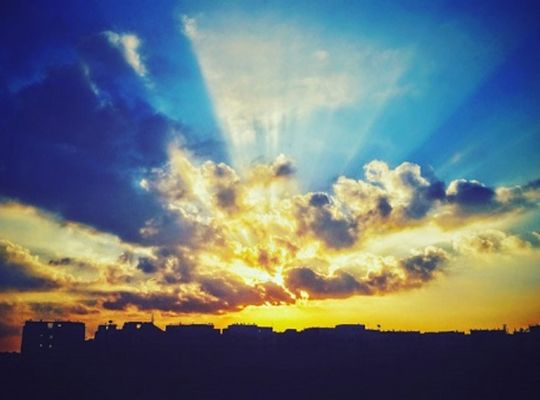 ヒラメのお刺身