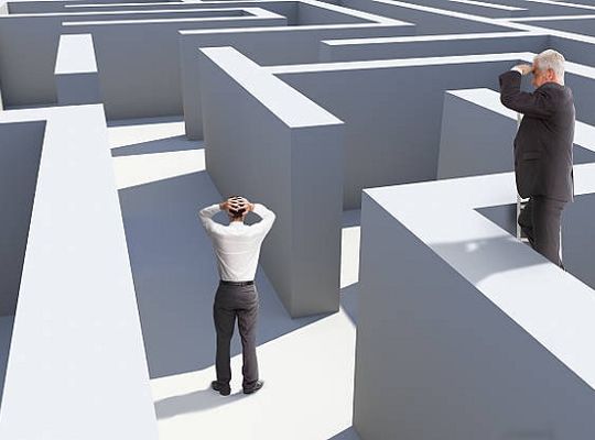 ヒラメのお刺身