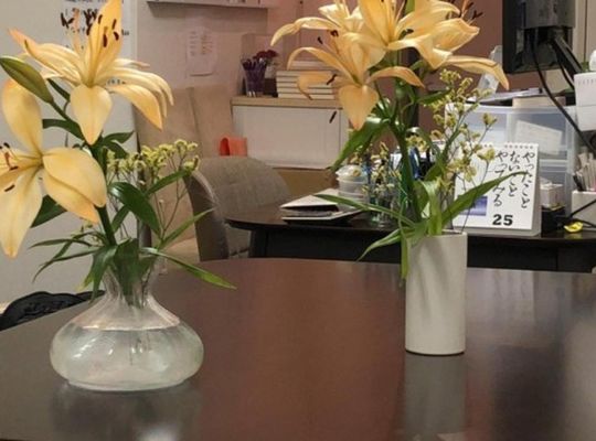 サンプルテキスト