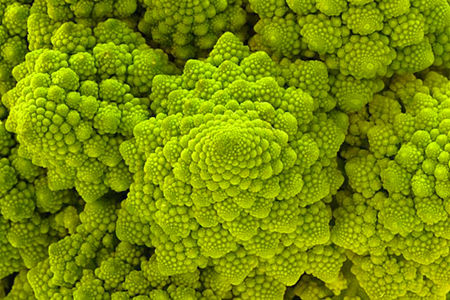 スタットワーク