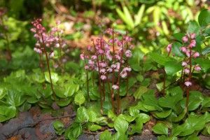 スタットワーク