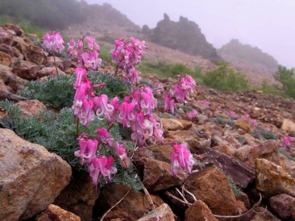 スタットワーク