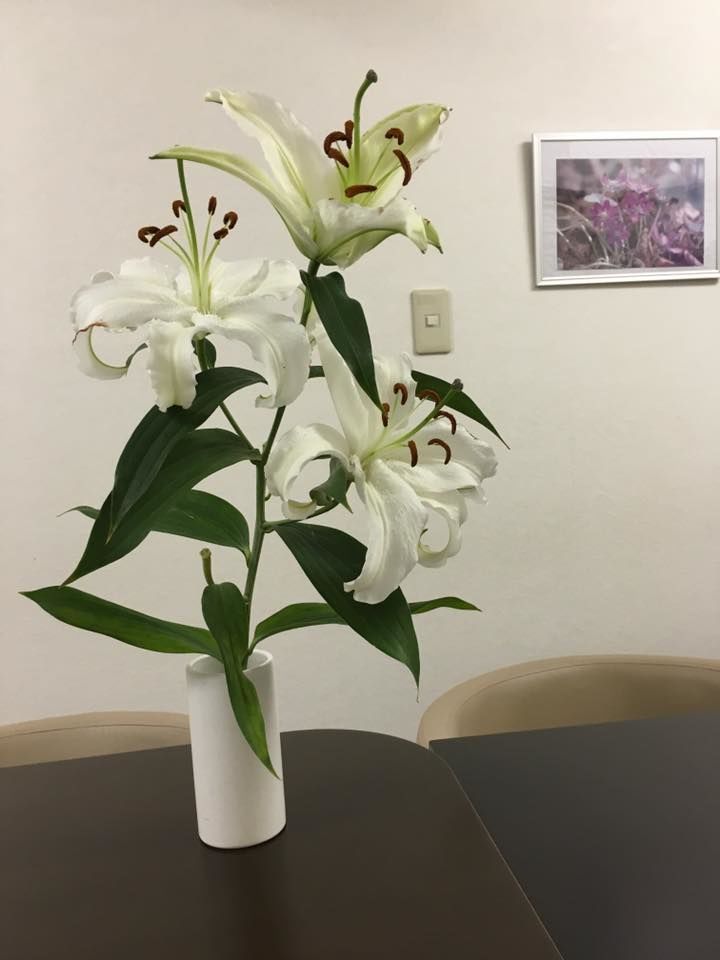 2016年6月22日ゆり